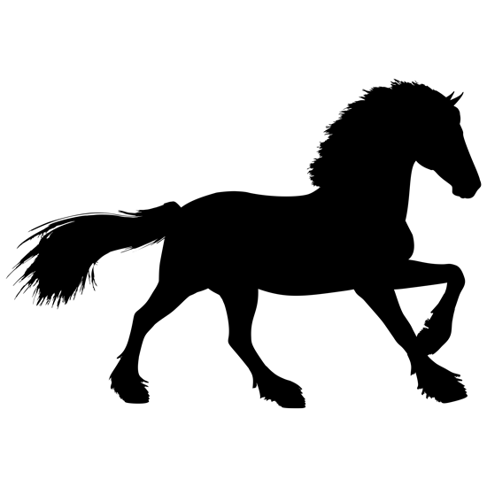 מדבקת קיר | סוס אצילי