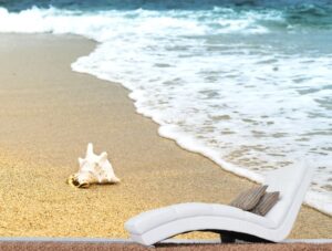 מדבקת טפט | קונכיה על חוף הים