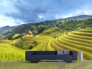 מדבקת טפט | שדות ירוקים