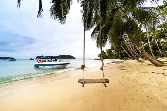 מדבקת טפט | נופש טרופי