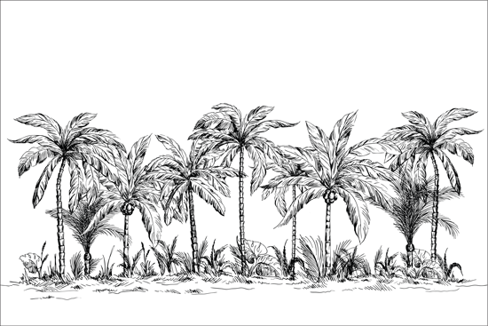 מדבקת טפט | יער טרופי מאוייר