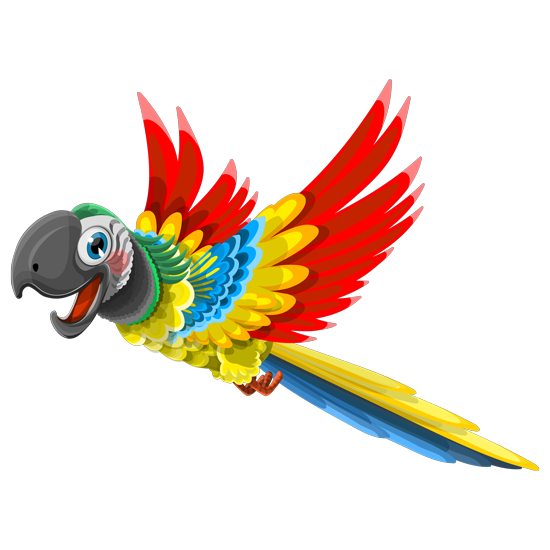 מדבקת קיר | תוכי צבעוני