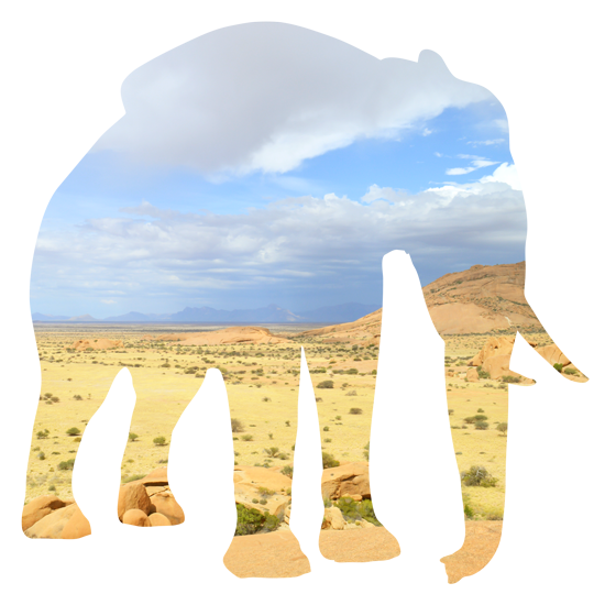 מדבקת קיר | צללית של פיל בסוואנה