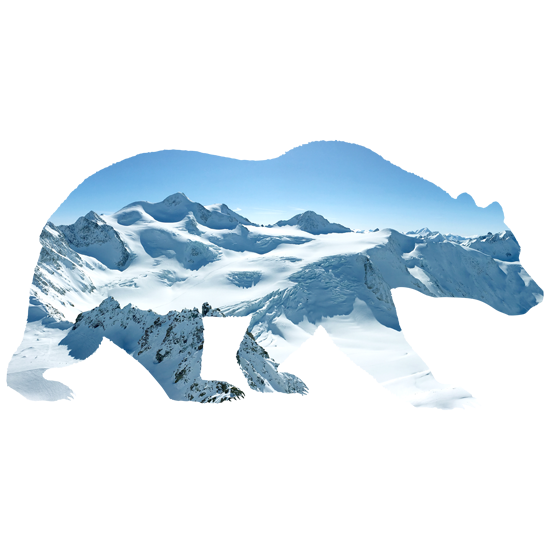 מדבקת קיר | דוב קוטב בשלג