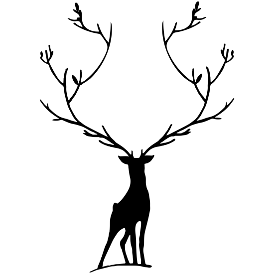 מדבקת קיר | אייל פרחוני