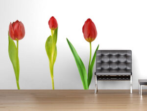 מדבקות - פרחי צבעוני