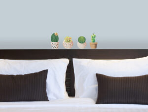 סט מדבקות - קקטוסים קטנים