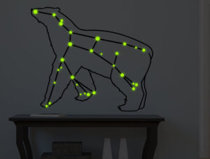 מדבקה זוהרת בחושך - דוב קבוצת כוכבים