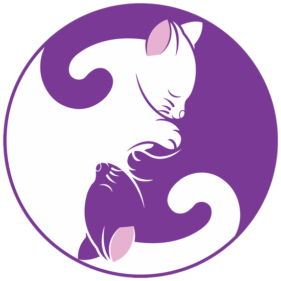 מדבקה - חתול לבן חתול סגול