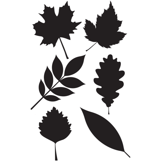 סט מדבקות - עלים ברוח