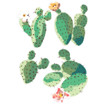 סט מדבקות - קקטוסים
