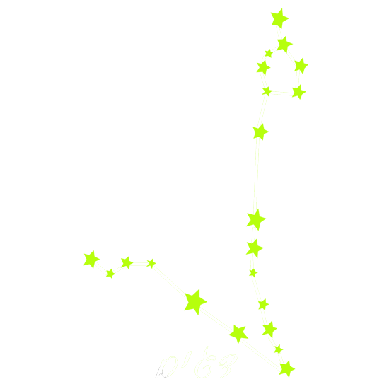 מדבקה זוהרת בחושך - מזל דגים