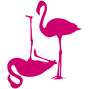 סט מדבקות - זוג פלמינגו