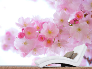 טפט - לבלוב פרחים ורוד