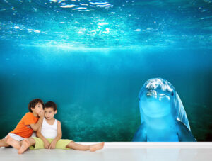 טפט - דולפין מצחיק