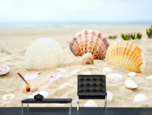 טפט - קונכיות על החול