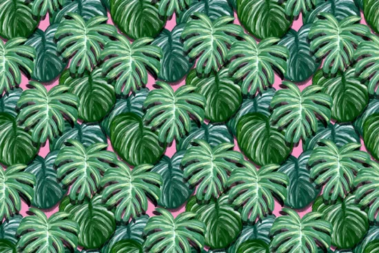 טפט - עלים ירוקים על רקע ורוד