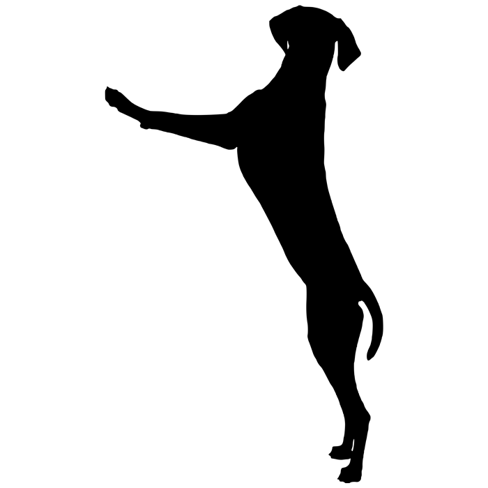 מדבקה - כלבלב חמוד