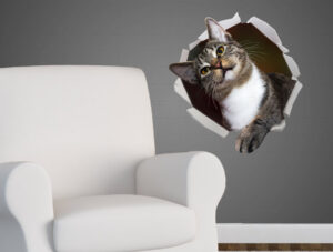 מדבקה - חתול מתוק