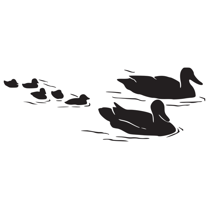 מדבקה - משפחת ברווזים