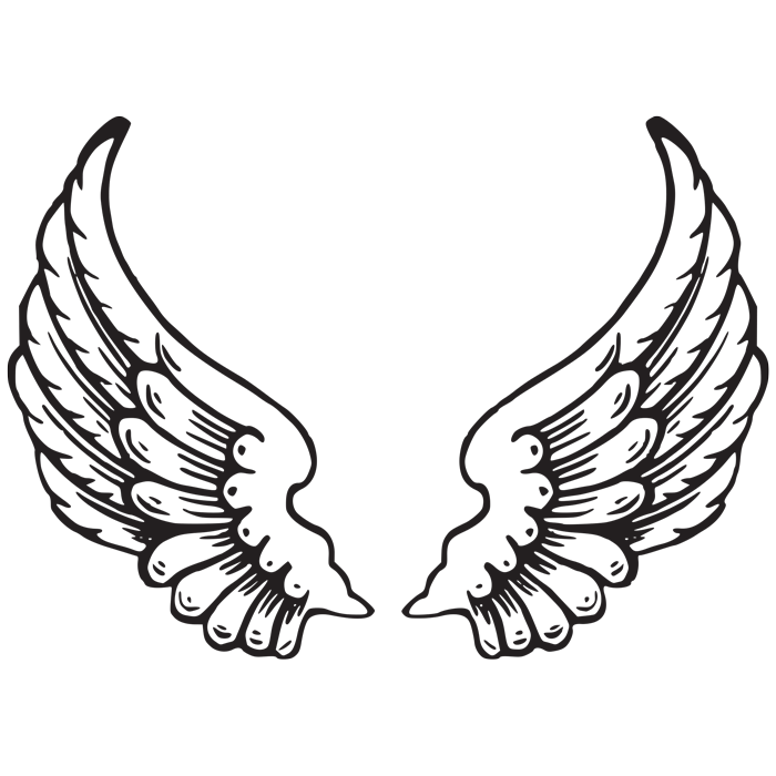 מדבקה - כנפיים יפייפיות