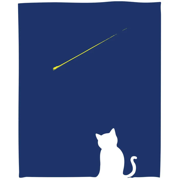 מדבקה - כוכב משאלות