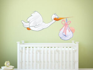 חסידה מאויירת וחמודה