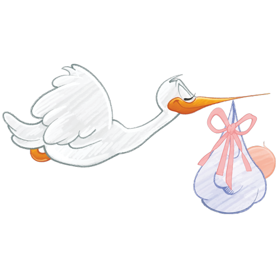 חסידה מאויירת וחמודה