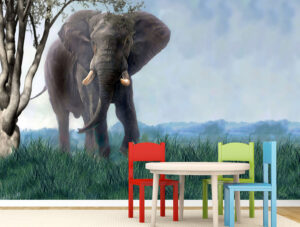 טפט - פיל מאוייר וחמוד