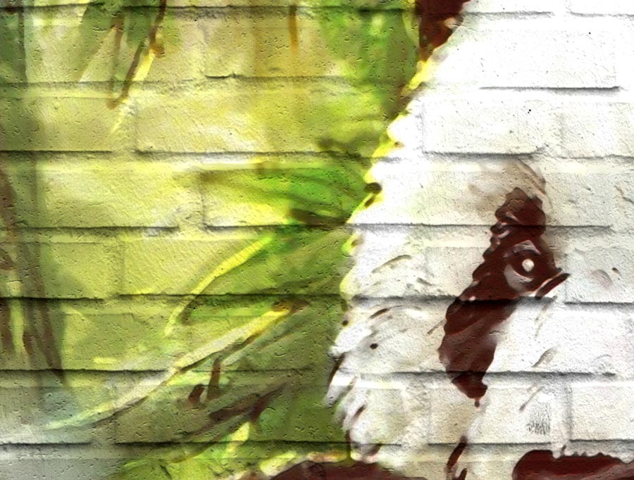 טפט - קיר בריקים פנדת עסקים