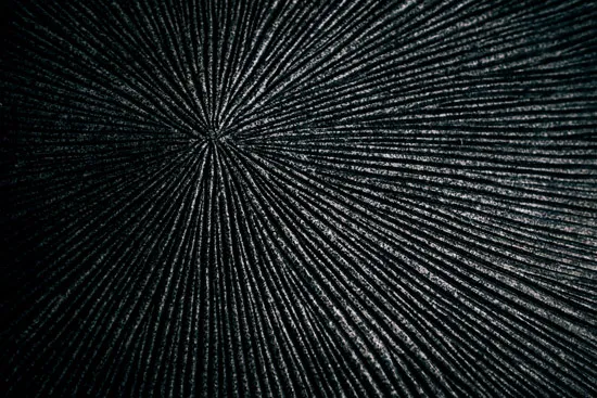 טפט - טקסטורה שחורה