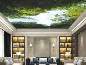 צמרות עצים ושמים כחולים