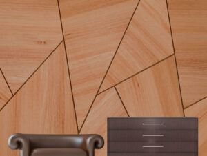 צורות גיאומטריות