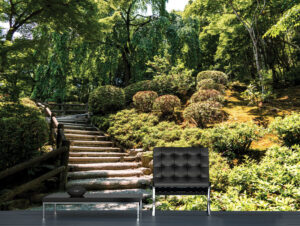 מדבקת טפט | מדרגות בטבע