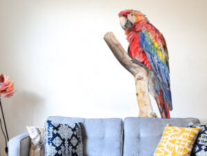 מדבקת תוכי ענק יפייפה