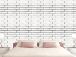 בריקים בצבע לבן