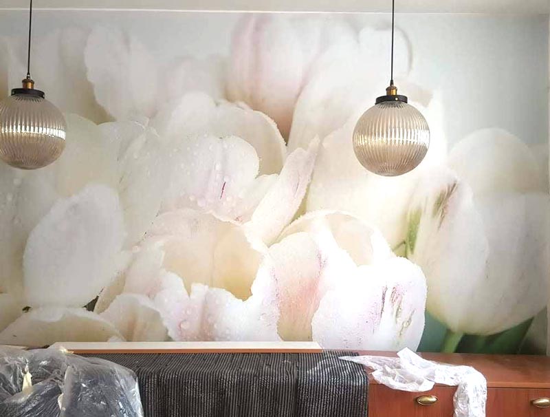 טפט |פרחי טוליפים