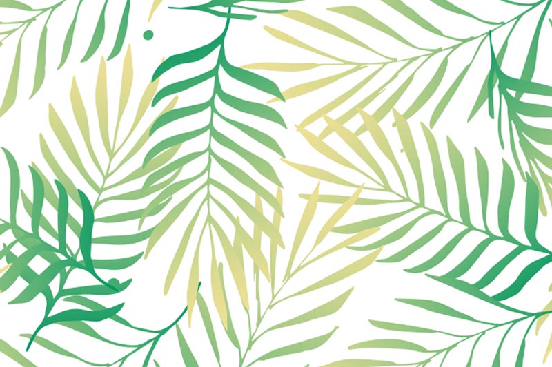 טפט קיר - עלים ירוקים