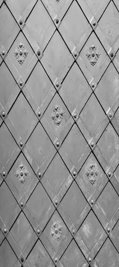 מדבקת טפט  | דלת ברזל