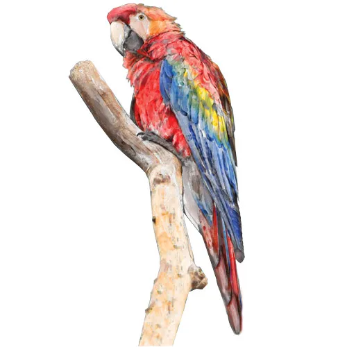 מדבקת תוכי ענק יפייפה