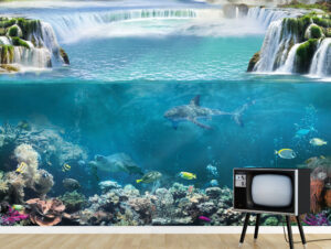 טפט - אקווריום אקזוטי