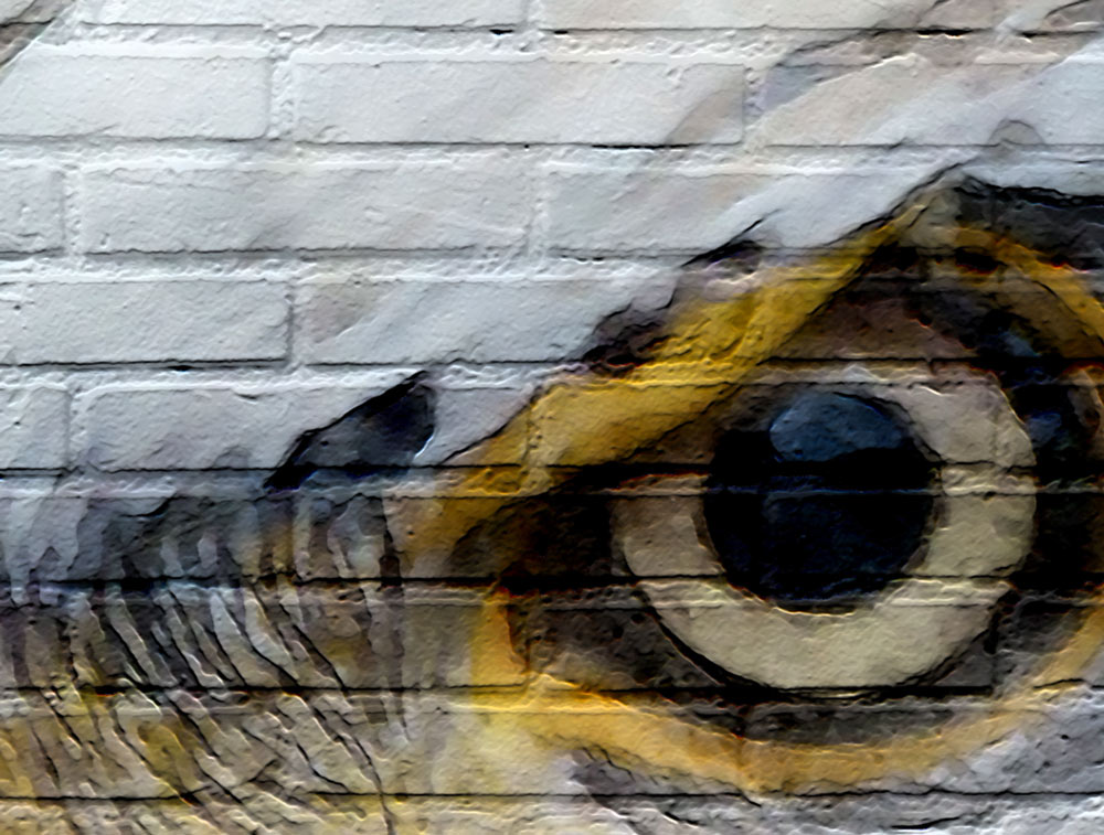 טפט - גרפיטי נשר מעוצב