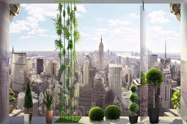 טפט - חלונות גדולים ונוף לעיר