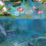 טפט - תחתית האגם