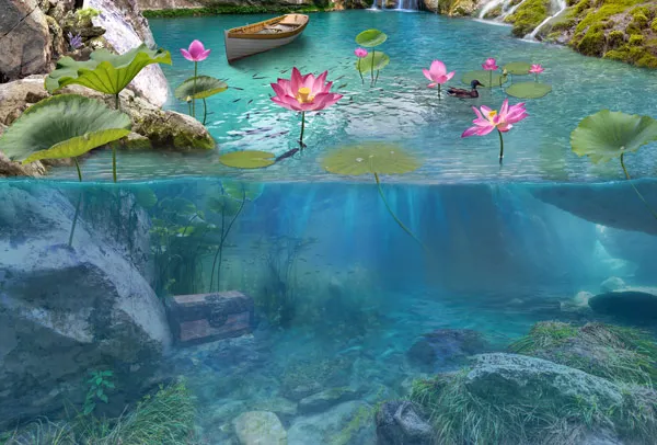 טפט - תחתית האגם