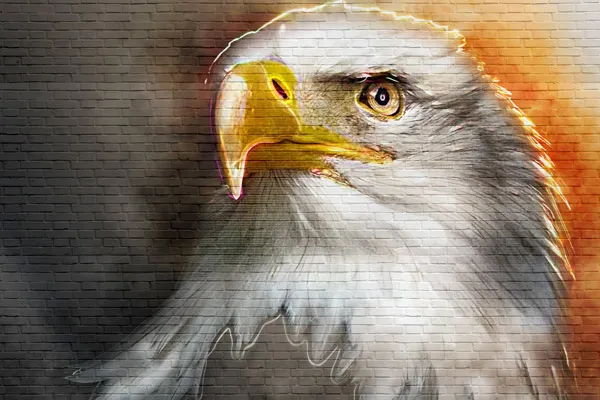 מדבקת טפט - נשר גרפיטי