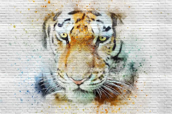 טפט - גרפיטי נמר על קיר בריקים