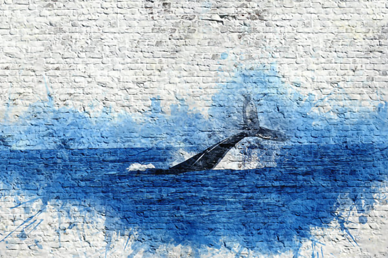 מדבקת טפט | גרפטי סנפיר לוויתן