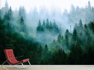 מדבקת טפט | יער מעורפל