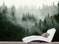 מדבקת טפט | יער בערפל